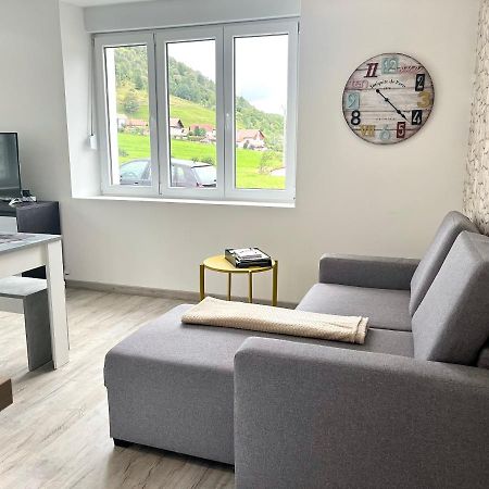 Ferienwohnung Cocon Lumineux Pres Des Pistes La Bresse Exterior foto