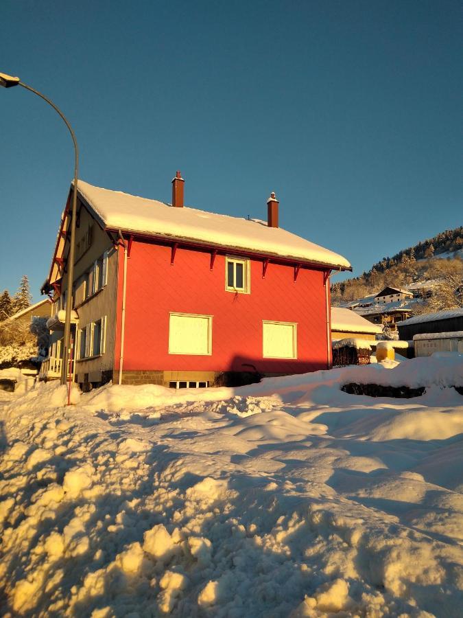 Ferienwohnung Cocon Lumineux Pres Des Pistes La Bresse Exterior foto